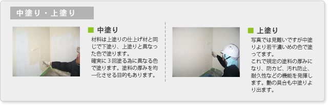 中塗り・上塗り